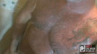Pratinjau video