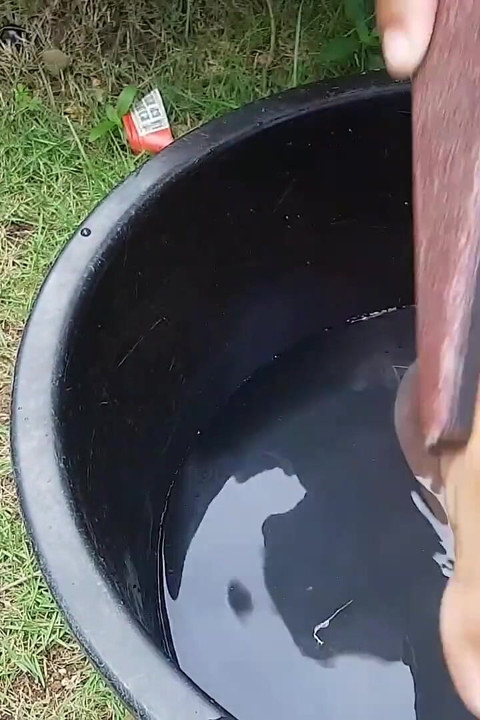 Deep Scrub with Coffee and Honey