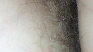 Hairy pussy 1