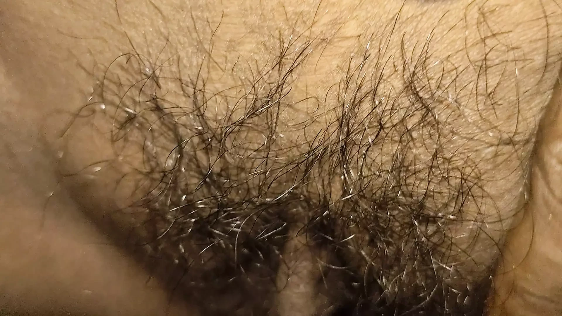 Het indisk desi flicka