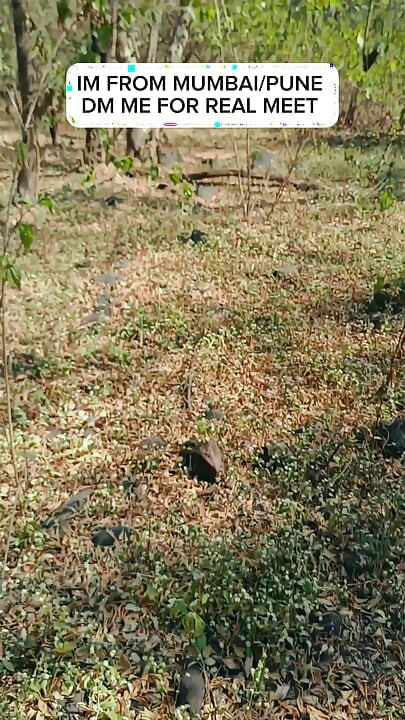 Jangal me land hila rha hu 💦