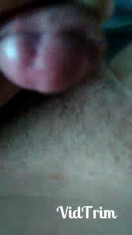 Cock
