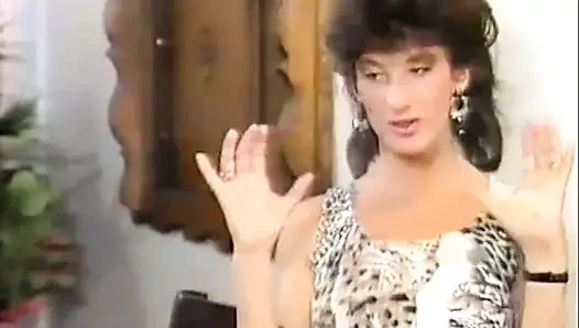 The Perfect Stranger (1988)