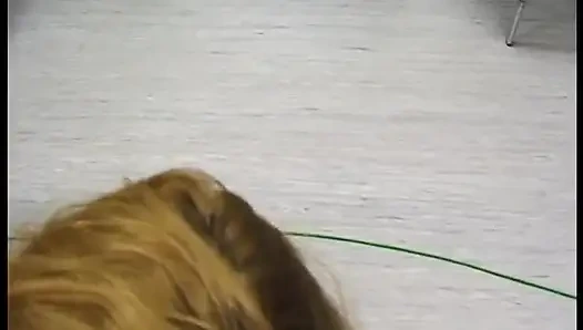 Blonde mature sucking his cock