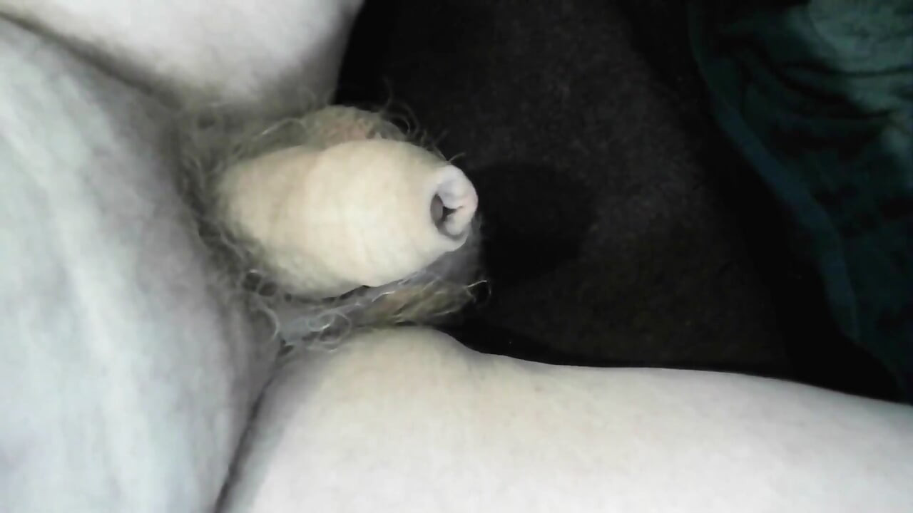 Arc of Sperm, Solo Amateur, Fountain