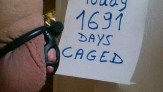 Little Dick caged