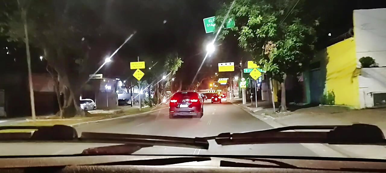89-Year-Old Grandma Having Sex in the Car with Her Naughty Grandson