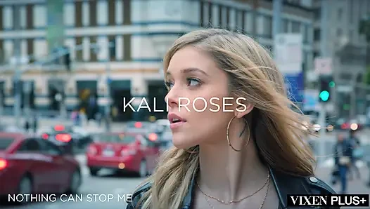 VIXENPLUS Überlauf-zusammenstellung