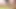 Smalltitted coed pussyfucked in doggystyle