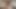 Maaşımı ödemediği için patronumun üvey kızını sikiyorum