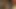 esaret alman genç