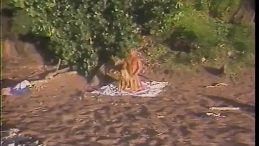 Gizli ajanlar Francois Papillon ve Kascha Syndicate Big Fish'i yakalamak için Hawaii'ye gönderildiler