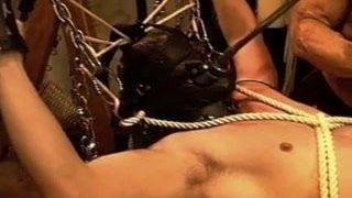 Sound and electro stim on hot young stud