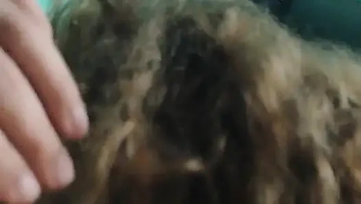 Sucking cock