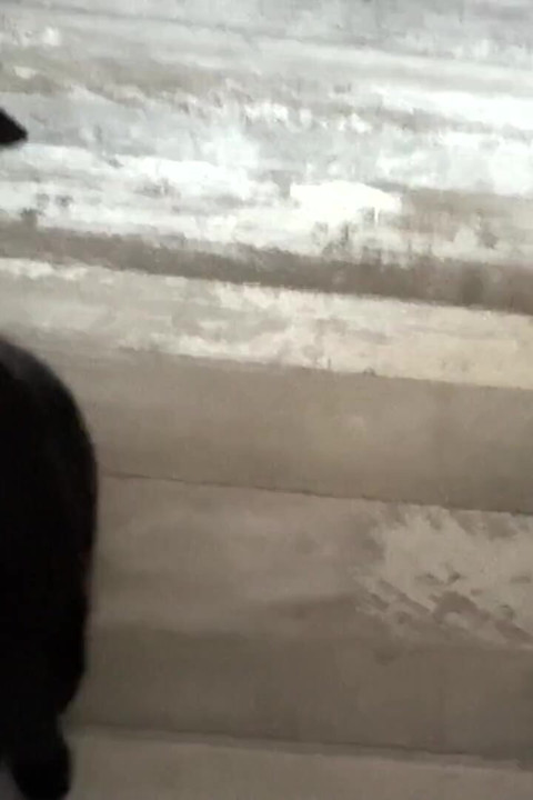 Npc Fuck Doll 4: Blonde Robot Face Fucked After Work