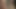 Amber video ćaska sa strancem
