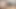Intimate Blowjob Oral Pleasure Shared by a Loving Couple