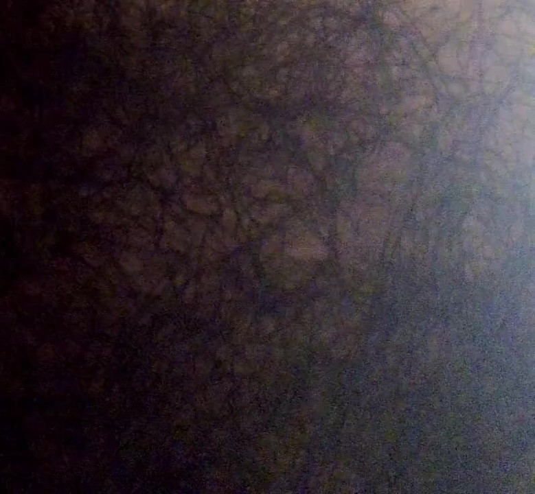 inside my panties
