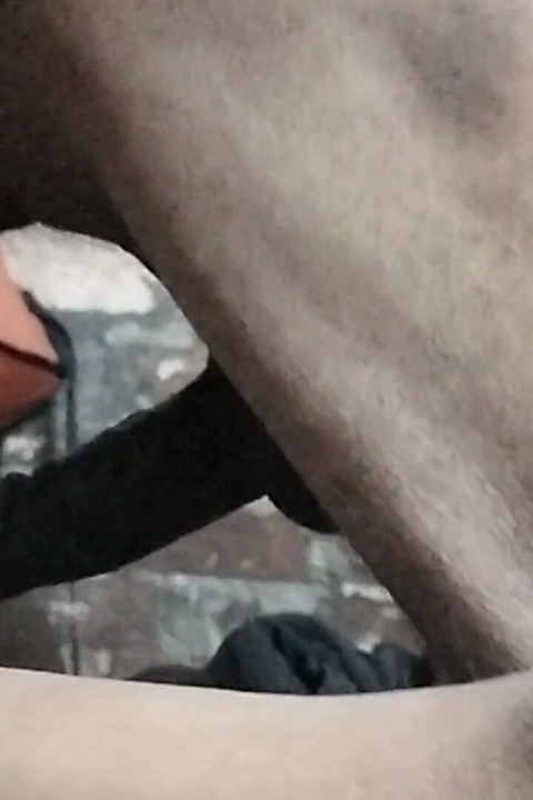 走进继妹的房间, 操了她