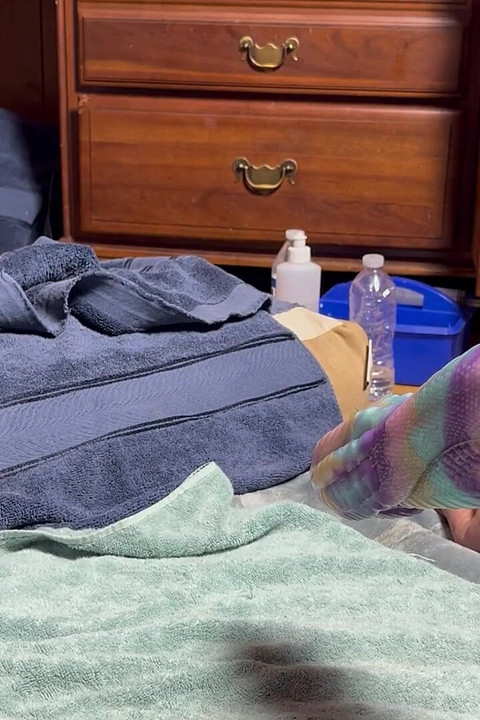 Zmajev dildo vrti se na jebenoj mašini