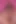 Tushy Avi ve Emily genişletilmek için yaşıyor