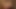 ホットセクレタリーからフェラチオを受ける