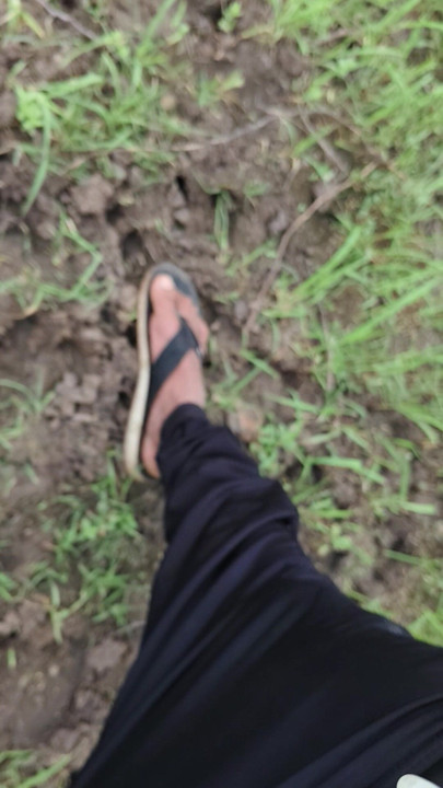 The desi boy is roaming alone in the forest.