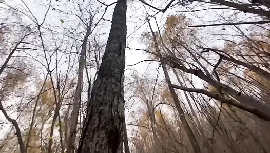 Doggystyle Forest Hookup: Pussy Uncovered, Ass Shaking in Nature
