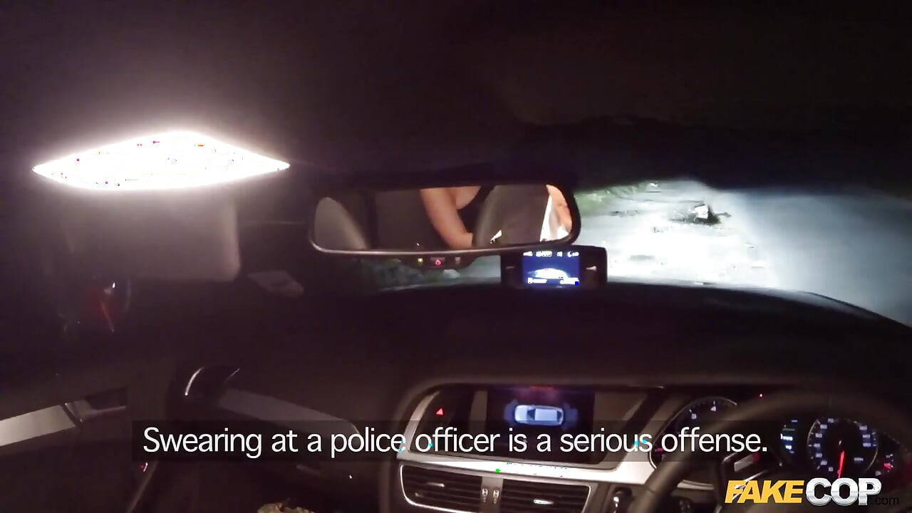 Fake Cop - Young Partygoer Frisked in an Alleyway and Sucks Cock POV