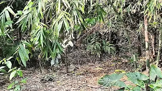 Stille schönheit meines gartens