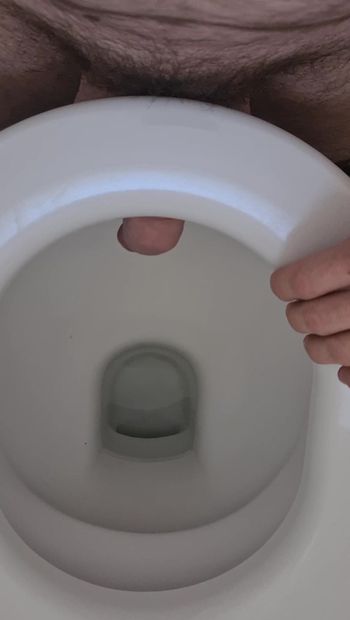 Punition par une bite dans les toilettes