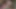 Sucking Big Cock Cumshot CM Joaquin & Shiloh