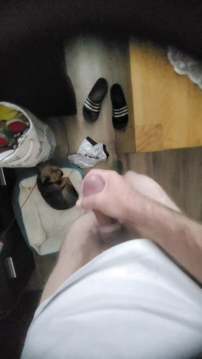 자지 흔들기