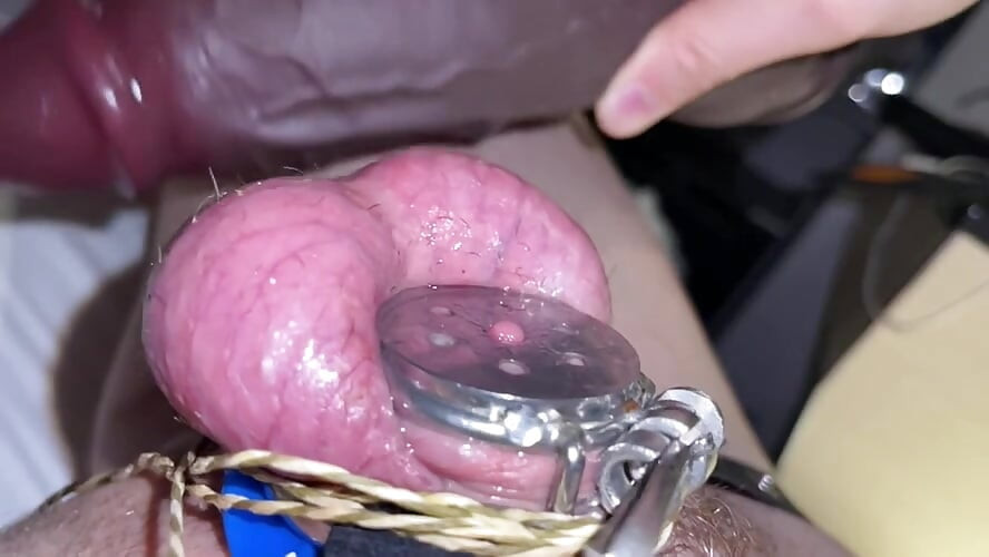 Sedy Ladyboy does a Thousand Ball Plappies while gooning for the BNWO