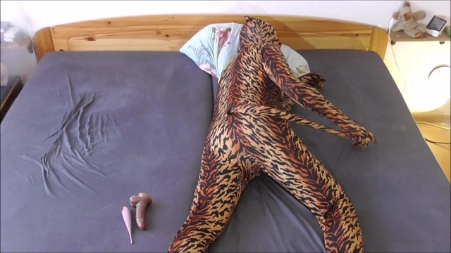 zentai catsuit