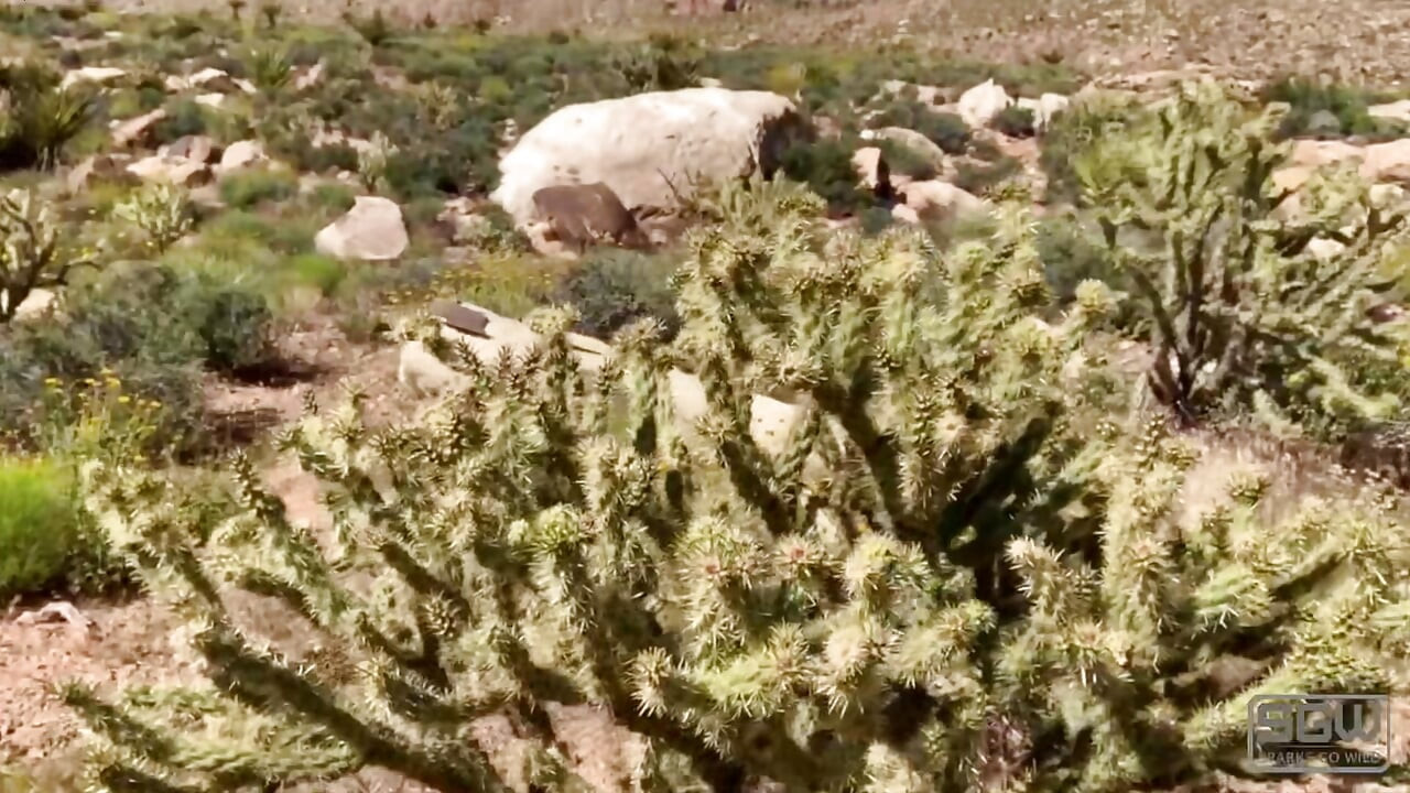 Hiking in thongs and fucking in Red Rock Canyon.
