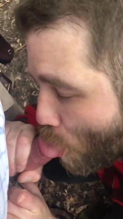 Bearded sucker