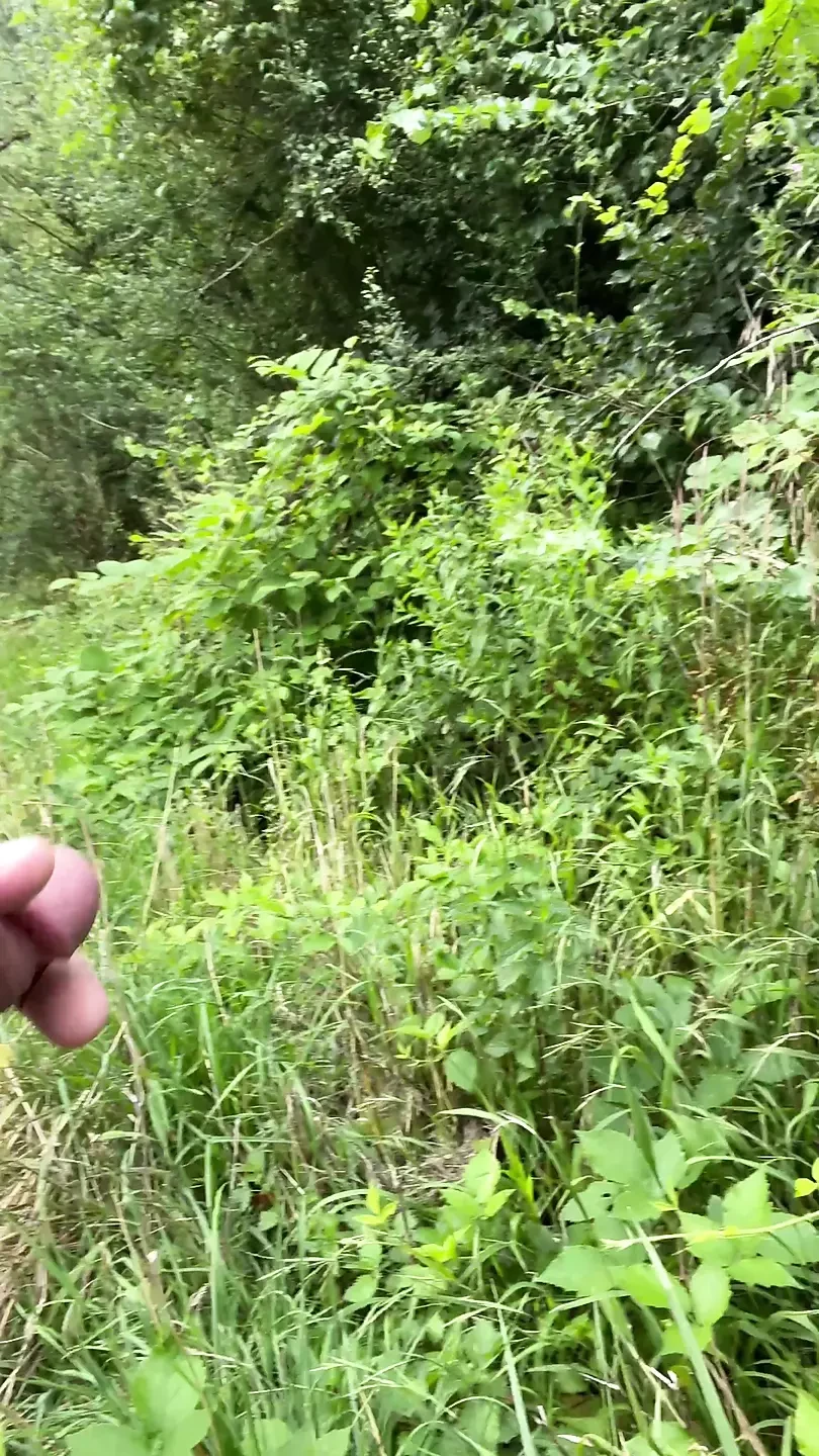 BeENJoY - Jerking off a big cock in the car in traffic in the middle of people looking at me