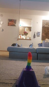 Pregled videozapisa