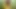 Hint sikme içinde bir corn camp
