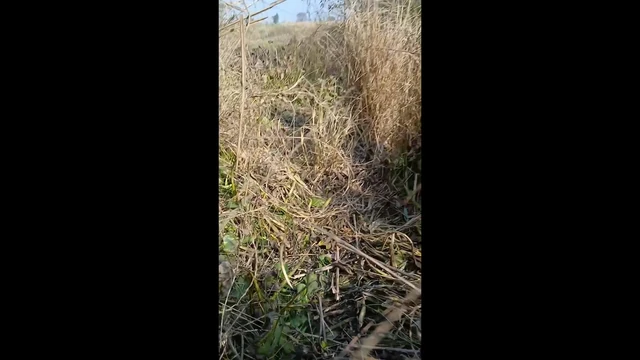 Indian Village Outdoor Highway Road side sex 2023