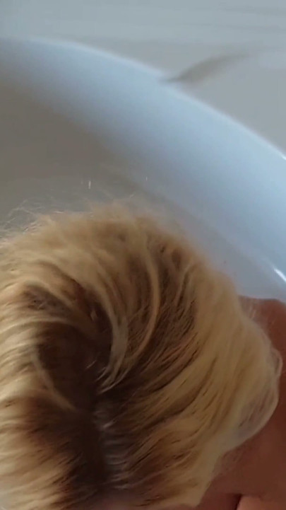 Beautiful blonde amateur mature wife naked games | Clip 1