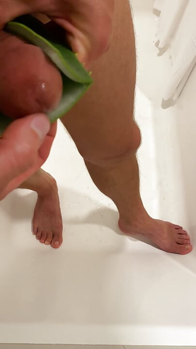 Homemade Aloe Vera Vagina POV