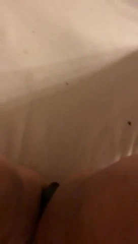Slut