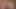 Her videoda emiyor ve emiyor olduklarını fark ettin, doyumsuz fahişeler gibi gece gündüz bu kadar çok emmek imkansız