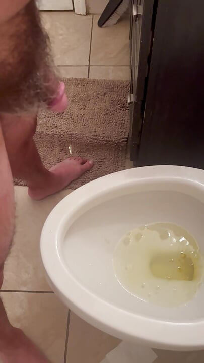 Pissing in the toilet