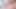 Hot cumming Prostate pound prolapse with n joy eleven tease gaped anal rosebud sissy boy training part 4