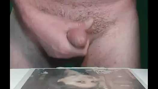 Meraklı yaşam haraç