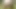 Cumming and walking naked in nature