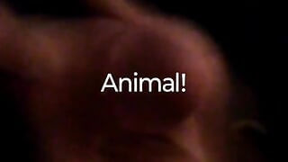 Jizz Cumpilation